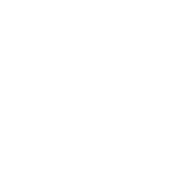 ✧ Reptile Scales