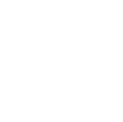 ✧ Reptile Tail