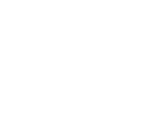 ✧ Reptile Eyes